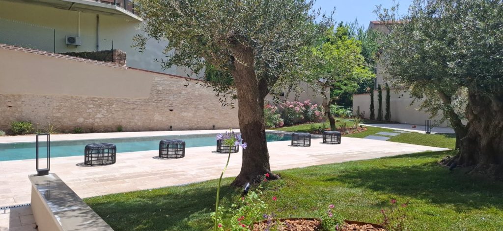 oliviers devant piscine