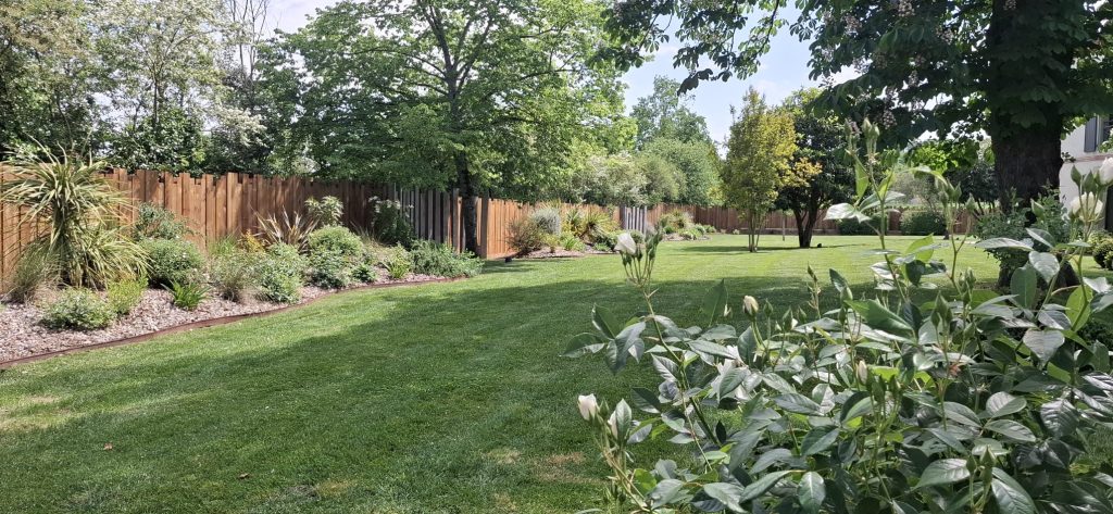 un beau jardin
